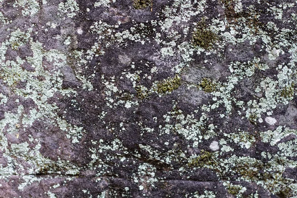 Foto Texture Pietra Grigio Muschio Fondo Pietra Naturale Rilievo Roccioso — Foto Stock