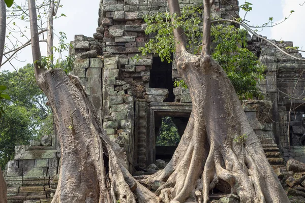 位于柬埔寨暹粒吴哥窟附近的古庙景观 树生长在寺庙废墟 受欢迎的旅游目的地地点 在吴哥旅行和观光 古代柬埔寨或高棉建筑 — 图库照片