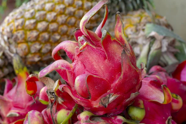 Red Dragonfruit Pineapple Market Table Tropical Fruit Natural Farm Market — Stock Photo, Image
