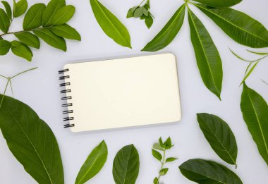 Boş sarmal Not defteri ve yeşil yaz beyaz zemin üzerine bırakır. Boş sayfa kağıt defter düz yatıyordu fotoğraf. Yaz dekor beyaz masa üstten görünüm üzerinde. Resim veya logo kavramı mockup yeşil yeşillik ile