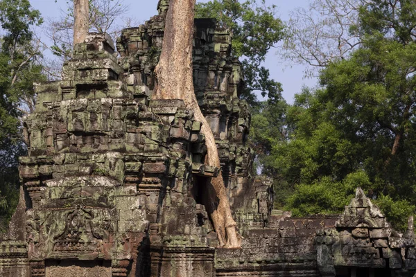 Antigua Ruina Del Templo Prohm Complejo Angkor Wat Siem Reap —  Fotos de Stock