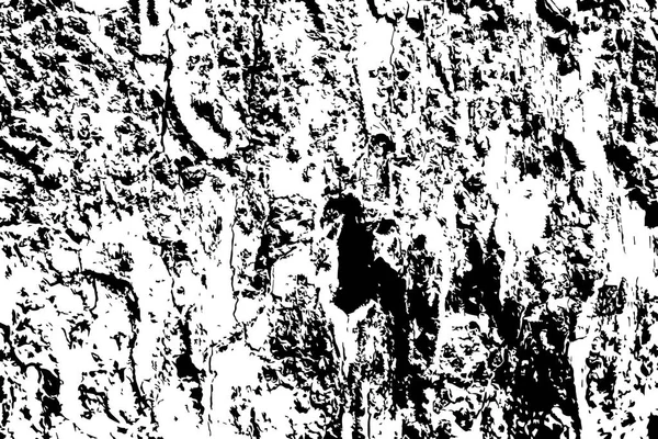 Texture Bois Grunge Texture Vectorielle Subtile Bois Noir Blanc Surface — Image vectorielle