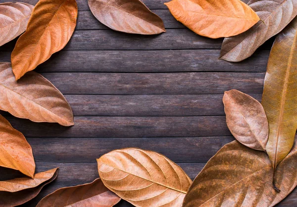 Marco Hoja Sobre Fondo Madera Plantilla Bandera Estacional Otoño Con —  Fotos de Stock