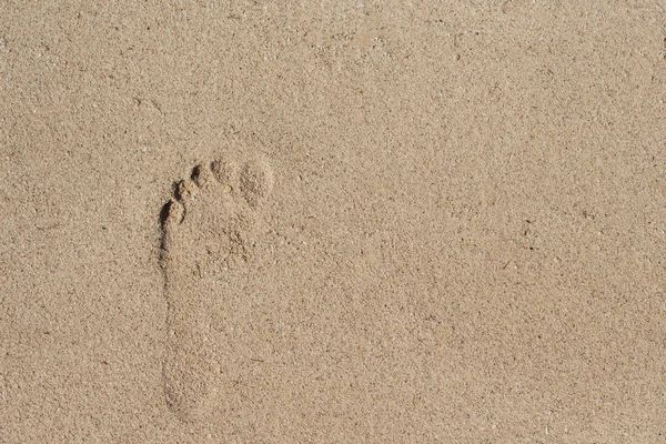 Bare foot print on white sand. Female barefoot print on beach sand. Seashore escape banner template. Sand beach texture. Sunny beach top view. Seaside sand surface. Bare foot mark on white beach