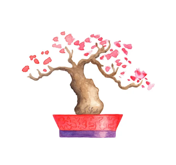 Rosa Floração Árvore Aquarela Ilustração Fundo Branco Árvore Oriental Com — Fotografia de Stock