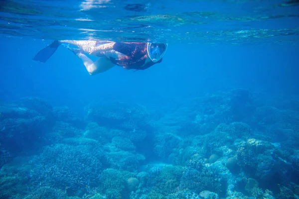Snorkeling Lány Iphoneâ Snorkeling Maszk Uszonyok Úszás Meleg Sekély Tenger — Stock Fotó