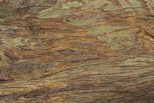 Staré Grungy Dřevěné Textury Povrchu Teplé Hnědé Dřevo Textury Makro — Stock fotografie