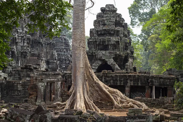 Antigua Ruina Piedra Del Templo Banteay Kdei Angkor Wat Camboya —  Fotos de Stock
