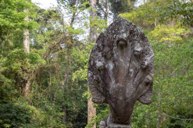 Naga yılan Yosunlu taş heykel. Angkor Wat Tapınağı, Kamboçya. Efsanevi hayvan naga heykeli. Siem Reap eski tapınakta. Angkor Wat anıt. Seyahat ve gezi Asya'da. Turistik yeri.