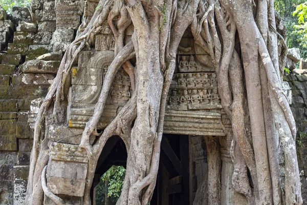 Batu Kuno Reruntuhan Candi Banteay Kdei Angkor Wat Kamboja Kuil — Stok Foto
