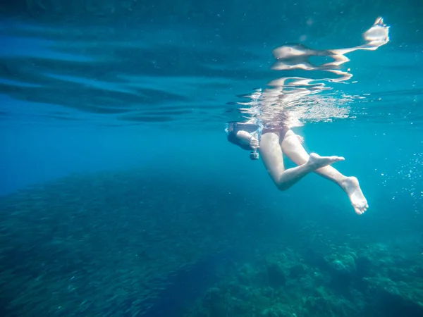 Sualtı Mercan Sardalya Okul Ile Yüzme Kadın Yaz Tatil Turist — Stok fotoğraf