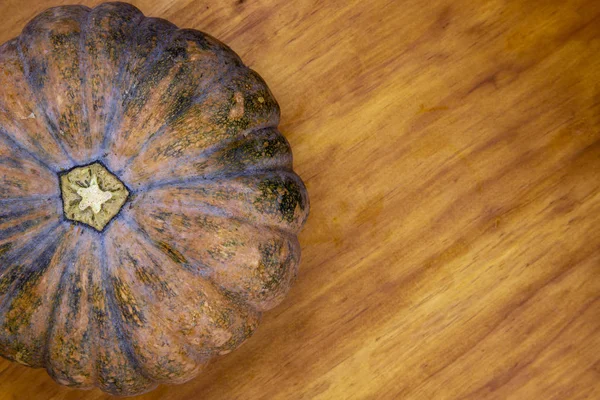 Turuncu kabak rustik ahşap zemin üzerinde. Sonbaharda hasat banner şablon. Olgun kabak görünüm fotoğraf top. Rustik düz lay ile kabak ve metin yer. Sıcak ve rahat sonbahar mevsimlik sebze ahşap üzerinde