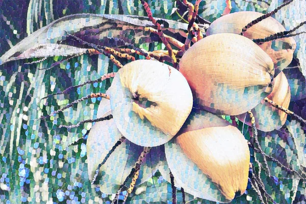 Žlutý Kokos Digitálním Obrázku Palmového Stromu Kokosový Ořech Šablona Vybledlé — Stock fotografie