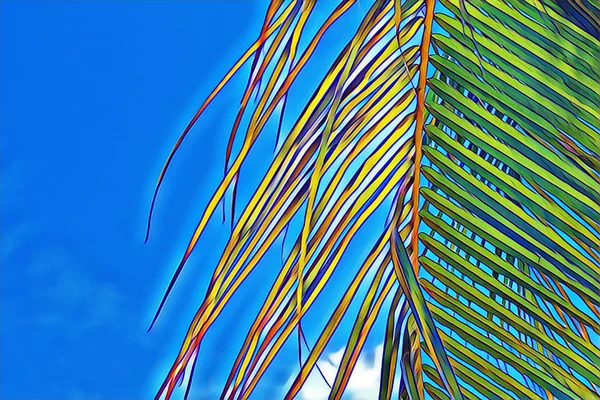 空の背景にココヤシの葉のクローズアップ 夕焼け空に輝くヤシの葉 トロピカルバケーションデジタルイラスト テキストの場所と夏のバナーテンプレート ふわふわココパームリーフ エキゾチックアイランドトラベル — ストック写真