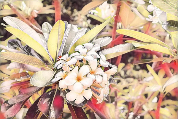 ピンクの色調フランジパニの花緑の葉 プルメリアの花デジタルイラスト 花咲く熱帯ブッシュ 花の木 エキゾチックな庭園のディテール トロピック植物 芳香花 フランジパニの花クローズアップ — ストック写真