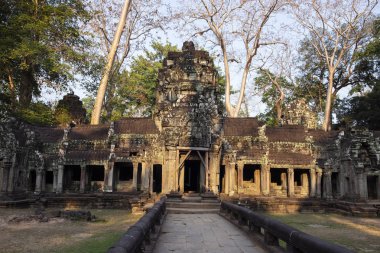 Angkor Wat kompleksi, Kamboçya 'da Ta Prohm Tapınağı Antik harabeleri. Taş kabartma ile dekore edilmiş giriş. Taş tapınak harabeye. Yeşil ormanda terkedilmiş tapınak. Asya 'da Turizm ve gezi yeri.