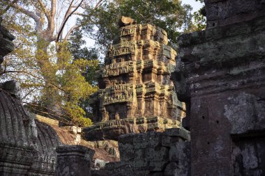 Angkor Wat kompleksi, Kamboçya 'da Ta Prohm Tapınağı Antik harabeleri. Gün batımı ışığında Angkor Wat tapınak Kulesi. Taş tapınak harabeye. Yeşil ormanda terkedilmiş tapınak. Asya 'da Turizm ve gezi yeri.