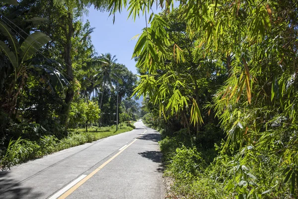 Caminos Verdes Paisajes Vacíos Hermosa Foto Paisaje Tropical Exótico Viaje —  Fotos de Stock