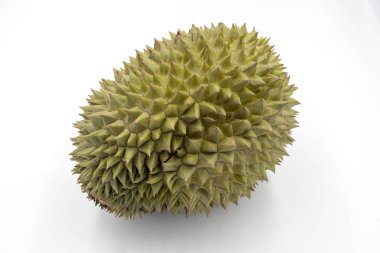 Beyaz arka planda tam tropikal durian meyvesi. Durian meyvelerinin kralı izole edilmiş. Egzotik meyve durian stüdyo fotoğrafı. Tayland şarküterisi. Dikenli kabuk ve tropikal meyvenin tatlı eti
