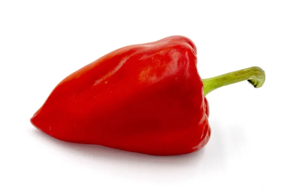 Red Bell Pepper Closeup Photo White Background Fresh Vegetable Studio — Stock Photo, Image