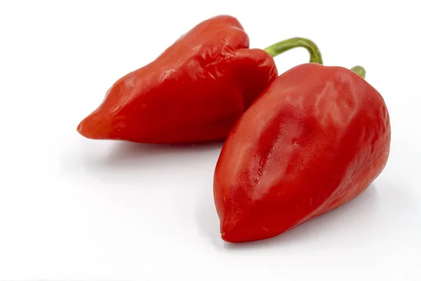 红色铃铛在白色背景的特写照片 美味蔬菜工作室的照片 新鲜成熟的甜椒 整个辣椒特写 天然饮食食品 色拉或汤烹调配料 — 图库照片