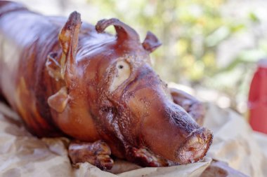 Lechon veya tablo üzerinde ızgara domuz. Bütün domuz kavrulmuş. İspanya festival mutfağı. Domuz Barbekü closeup fotoğraf. Kızarmış et yemek. Yaz olay kutlama menü. Izgara domuz eti. Geleneksel İspanyol yemeği