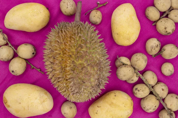 Egzotyczne Owoce Różowym Tle Mango Langsat Durian Płaski Wzór Baner — Zdjęcie stockowe