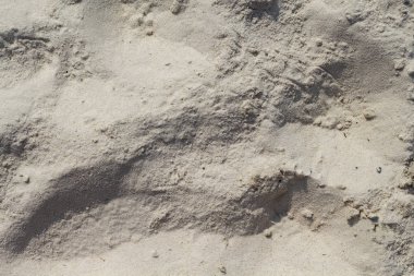 Beyaz kum plaj doku. Deniz kıyısında üstten görünüm fotoğraf. Doğal grit doku. Adım işaretleri ile kum yüzeyi kuru. Yaz seyahat arka plan. Tropik sahil tatil kartı. Sahil kum doku. Beyaz plaj