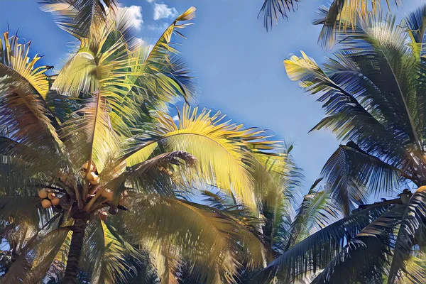 Pluizig Palmboom Avondrood Tropische Natuur Optimistisch Landschap Coco Palm Blad — Stockfoto