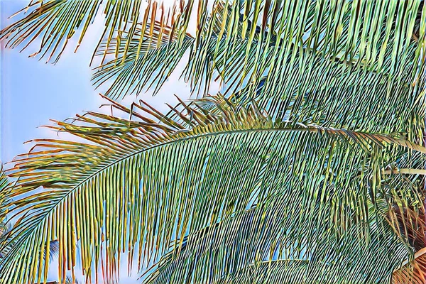 Kokospalmenblatt Ornament Auf Blauem Himmelshintergrund Digitale Illustration Tropischer Natur Exotische — Stockfoto