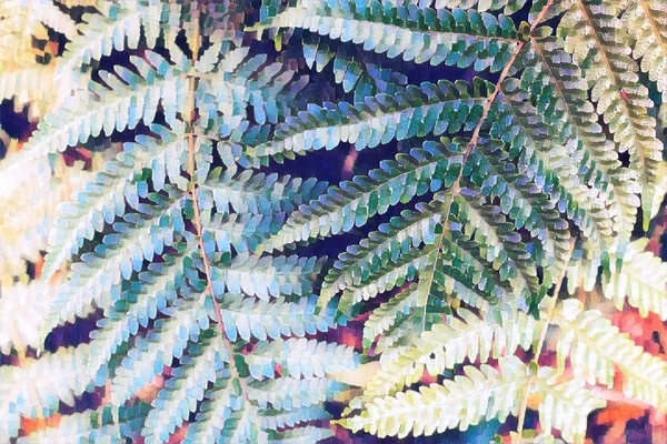 Summer Forest Fern Leaf Closeup Forest Floor Artistic Digital Illustration — Stock Photo, Image