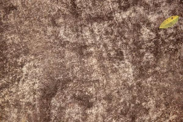 Pavimento Piedra Pulida Hoja Otoño Amarillo Textura Áspera Piedra Natural — Foto de Stock