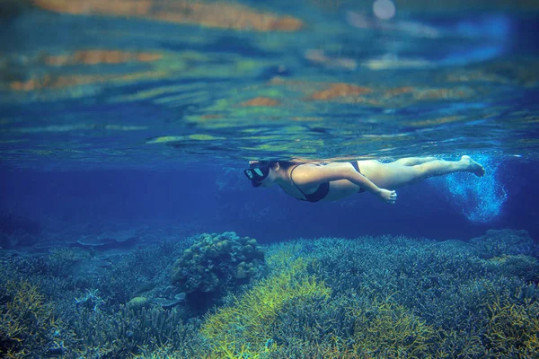 Woman snorkel in coral reef. Young girl in bikini swimming underwater. Snorkeling in tropical sea. Snorkeling girl underwater. Coral reef landscape with tourist. Seaside activity on exotic island