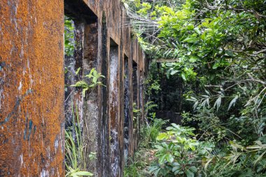Terk edilmiş evde ve tropikal orman. Tropics'in eski binada. Rustik taş turuncu kalıp. Tarihi site kalır. Kamboçya'da terk edilmiş yaşam evi. Orman orman bush ve perili köşk