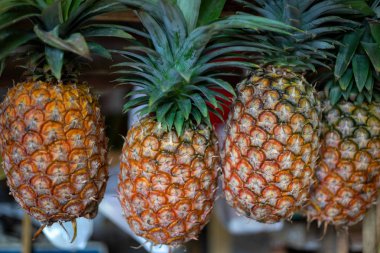 Yeşil ile olgun ananas Pazar durak üzerinde bırakır. Sarı ananas satmak için. Tropikal meyve doğal çiftlik piyasada. Organik sulu egzotik meyve. Tatlı vejetaryen tatlı. Egzotik meyve tatlı