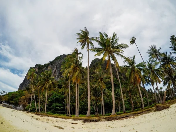 Empty sand beach and palm trees of abandoned tropical island. Tropics fisheye photo landscape. Fish eye view on white sand beach and palm trees. Cloudy day on tropical beach. Exotic island vacation