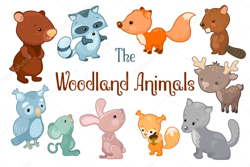 Woodland animals vector clipart on white background. Cute vector illustrations of bear, beaver, fox, rabbit, deer. Colorful wild animal sticker. Children or nursery logo. Baby zoo icon. Forest nature