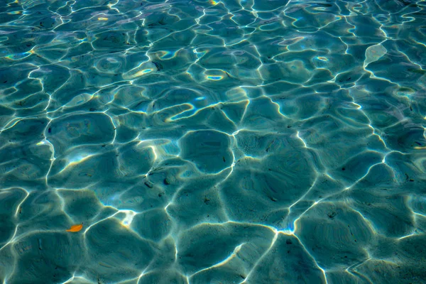 Blue tropical sea water texture. Clean seawater closeup photo. Still sea surface. Transparent water of tropical seaside. Swimming or snorkeling banner template. Summer vacation concept background