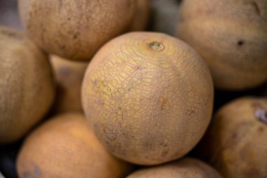 Yuvarlak kavun yığını yakın çekim fotoğrafı. Pazar yerinde organik yaz meyveleri. Sarı karpuz sürüsü. Tam olgunlaşmış kavun ve sarı kahverengi deri. Meyve pazarı tezgahı. Yaz meyveli tatlı. Sağlıklı mevsimlik yiyecekler
