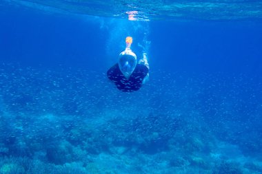Denizaltı fotoğrafında şnorkelle yüzen genç bir kadın. Şnorkel balık okulunda suyun altına dalıyor. Yüzü tamamen şnorkelli bir kadın. Su altı manzarası. Tropikal adada yaz tatili. Tropik deniz kenarı aktivitesi