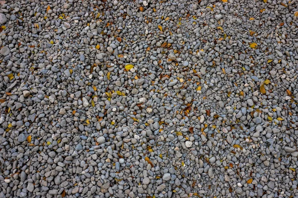 Foto de pedra de cascalho redondo para fundo. Pequena pedra cinza textura industrial. Fecho de cascalho . — Fotografia de Stock