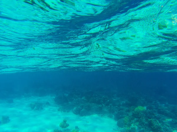 サンゴ礁とリップル面と熱帯海の水の風景。表面の質感を持つ浅い海の水. — ストック写真