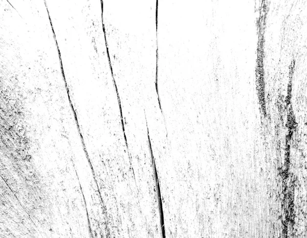 Wooden texture close up photo. White and grey wood background. — Stock Photo, Image