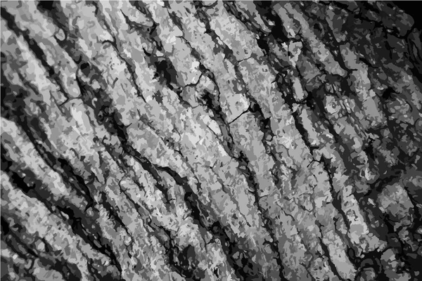 Černobílé pozadí s plochou slupky z přírodního stromu. — Stockový vektor