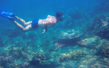 Tropik denizin mercan resifinde şnorkelle yüzen adam. Şnorkel maskesi ve yüzgeçli genç adam. Sualtı fotoğrafı