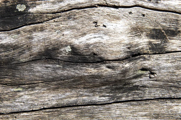Weathered wooden texture close-up photo. Old timber with weathered cracks. Driftwood backdrop. Rustic tree trunk closeup — Stock Photo, Image