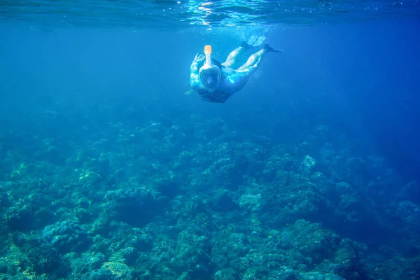 A nő lemerül a korallzátonyba. Lány búvárkodás teljes arcú maszkban. Snorkel személy víz alatti fotó — Stock Fotó