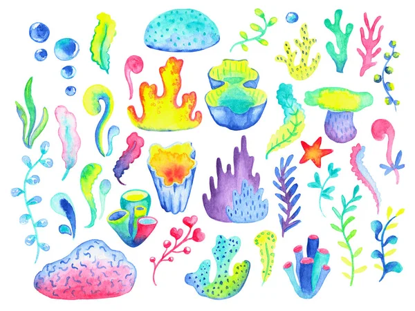 Koralowa i wodna roślina narysowana ręcznie na białym tle. Kwiatowy kliparty wystrój. Podwodne liście roślin akwarela ilustracja — Zdjęcie stockowe