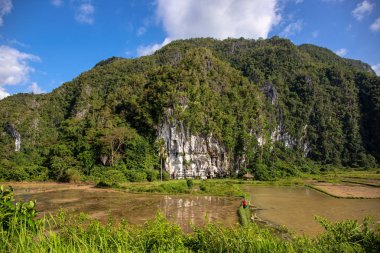 Güneşli bir günde yeşillik ve dağlar ile tropikal manzara. Pirinç kürek alanı ve uçurum ile tropikal doğa görünümü.