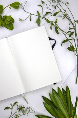 Dizüstü bilgisayarın üst kesimdeki fotoğrafı beyaz arka planda açın. Romantik sosyal medya hikayeleri şablonu düz mesaj ve doğal yeşillik için beyaz sayfa ile yatıyordu